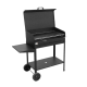 BARBECUE T/PESANTE cm 40X50 VANESSA C/RU